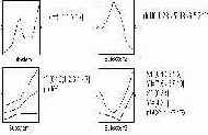    Simulink