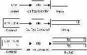    Simulink