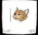 Puring Kitty