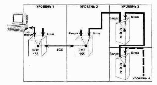 Серия оборудования TANGARA WIRELINE