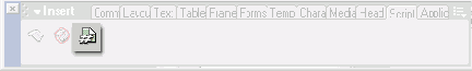  ServerSide Include  